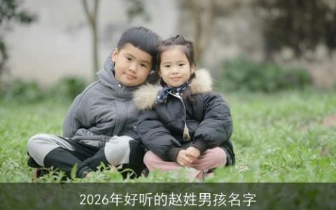 2026年好听的赵姓男孩名字