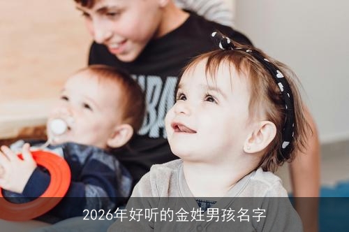 2026年好听的金姓男孩名字