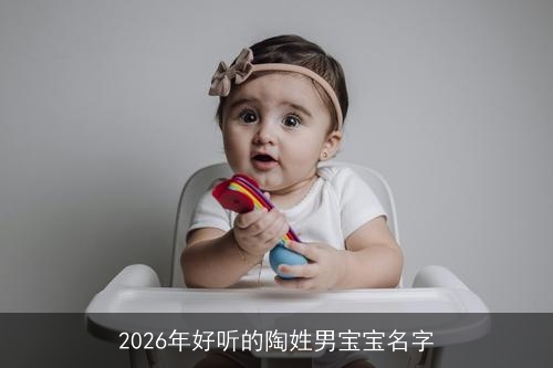 2026年好听的陶姓男宝宝名字