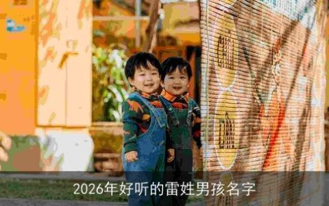 2026年好听的雷姓男孩名字
