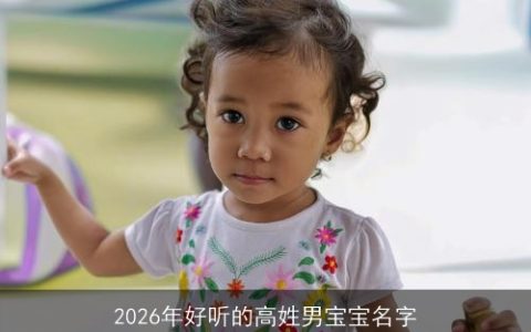 2026年好听的高姓男宝宝名字