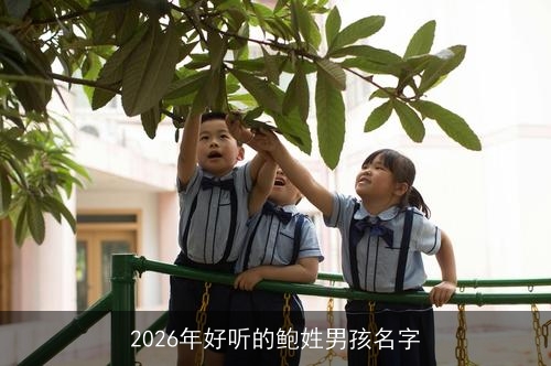 2026年好听的鲍姓男孩名字