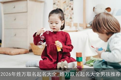 2026年姓万取名起名大全_姓万取名起名大全男孩推荐