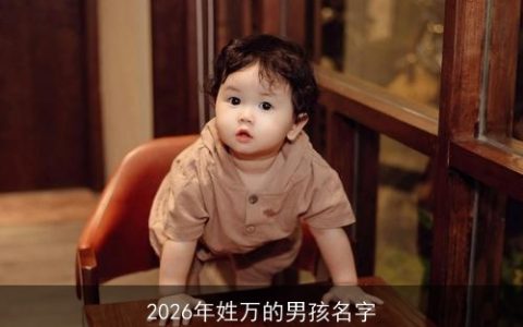 2026年姓万的男孩名字