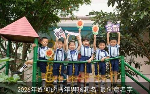 2026年姓何的马年男孩起名 最创意名字