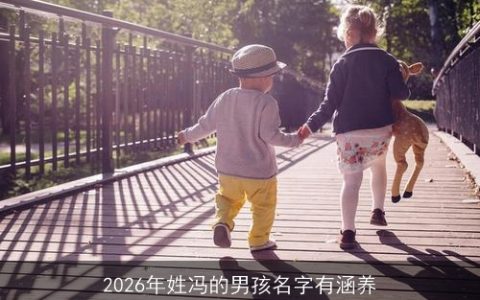 2026年姓冯的男孩名字有涵养
