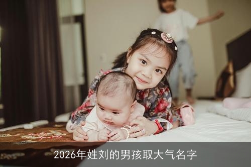 2026年姓刘的男孩取大气名字
