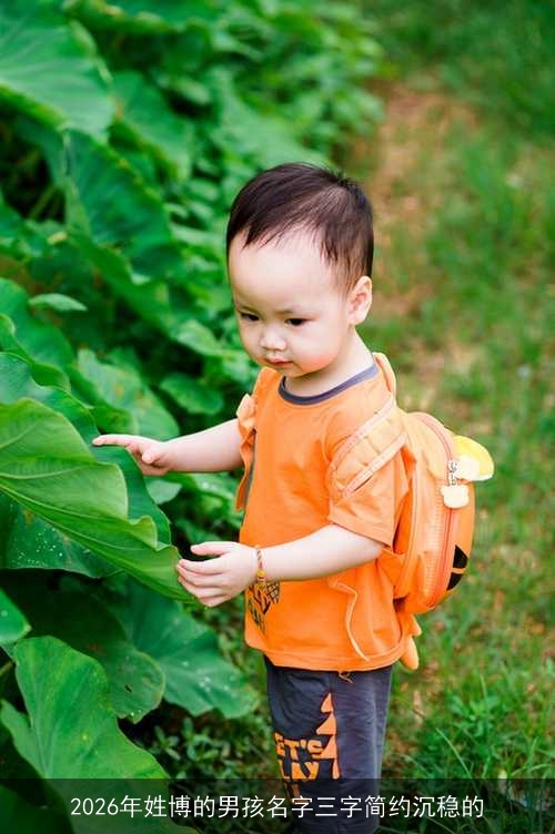 2026年姓博的男孩名字三字简约沉稳的