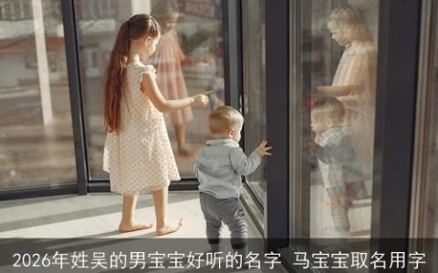 2026年姓吴的男宝宝好听的名字 马宝宝取名用字