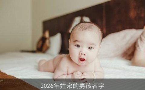2026年姓宋的男孩名字