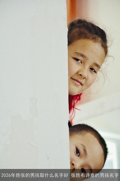 2026年姓张的男孩取什么名字好 张姓有诗意的男孩名字