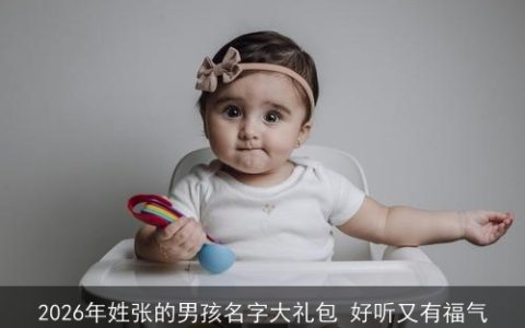 2026年姓张的男孩名字大礼包 好听又有福气