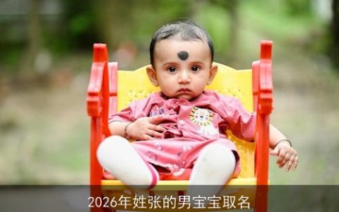 2026年姓张的男宝宝取名