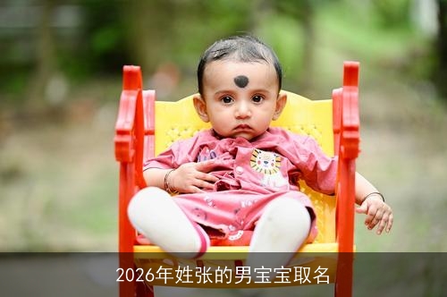 2026年姓张的男宝宝取名