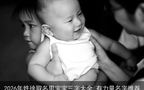2026年姓徐取名男宝宝三字大全 有力量名字推荐