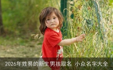 2026年姓易的新生男孩取名 小众名字大全