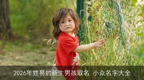 2026年姓易的新生男孩取名 小众名字大全