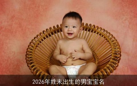 2026年姓未出生的男宝宝名