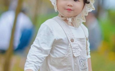 2026年姓朱宝宝名字怎么取 朱姓男孩有诗意的名字免费