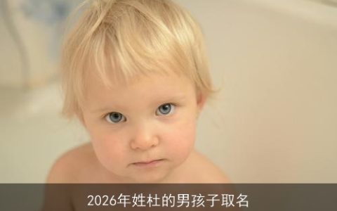 2026年姓杜的男孩子取名