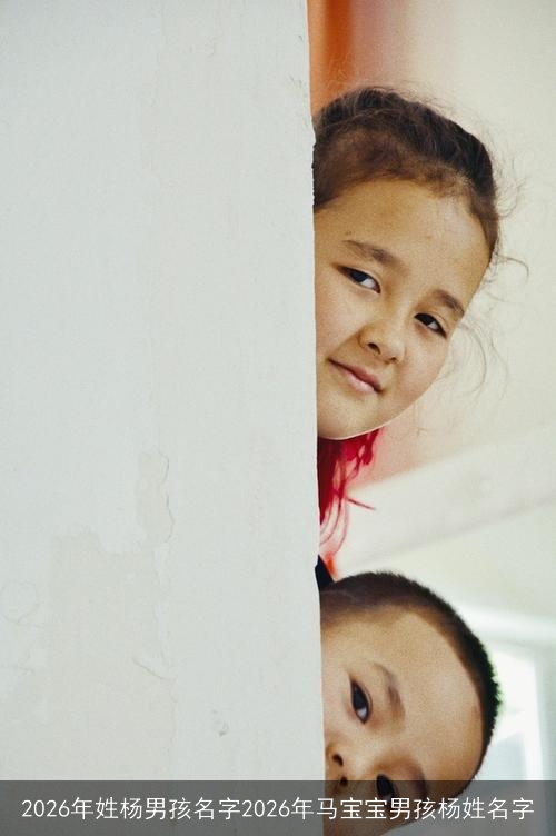 2026年姓杨男孩名字2026年马宝宝男孩杨姓名字