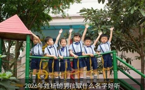 2026年姓杨的男孩取什么名字好听