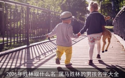 2026年姓林取什么名 属马姓林的男孩名字大全