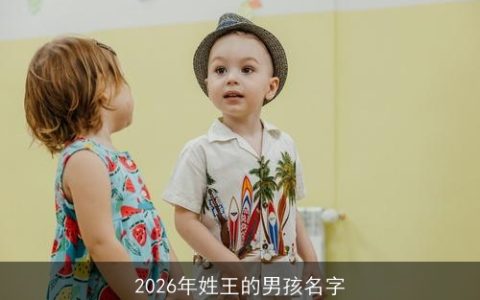 2026年姓王的男孩名字
