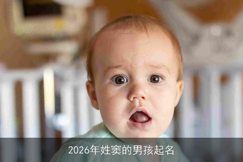 2026年姓窦的男孩起名