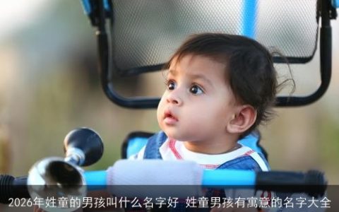 2026年姓童的男孩叫什么名字好 姓童男孩有寓意的名字大全