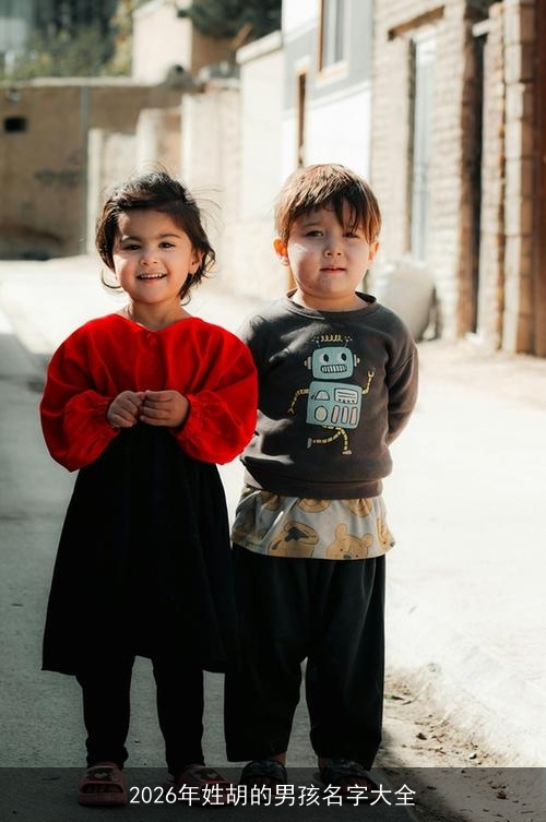 2026年姓胡的男孩名字大全