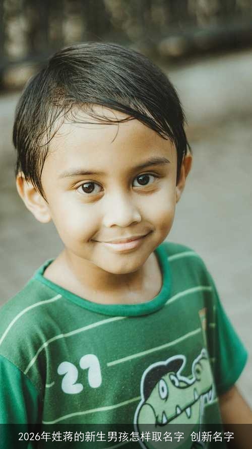 2026年姓蒋的新生男孩怎样取名字 创新名字