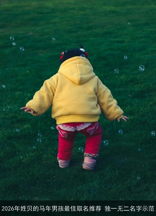2026年姓贝的马年男孩最佳取名推荐 独一无二名字示范