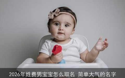 2026年姓费男宝宝怎么取名 简单大气的名字