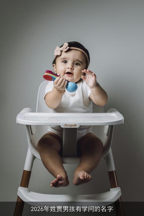 2026年姓贾男孩有学问的名字