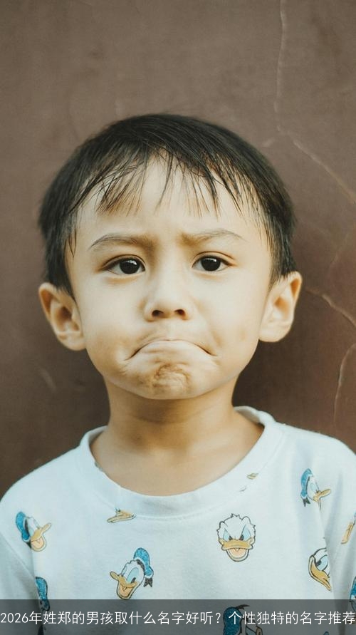 2026年姓郑的男孩取什么名字好听？个性独特的名字推荐