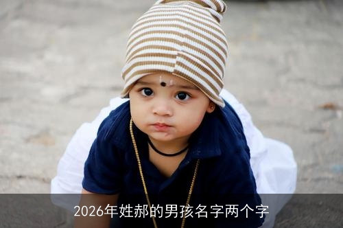 2026年姓郝的男孩名字两个字