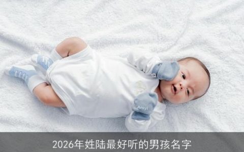 2026年姓陆最好听的男孩名字