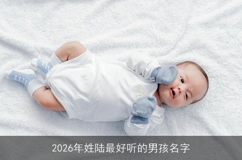 2026年姓陆最好听的男孩名字
