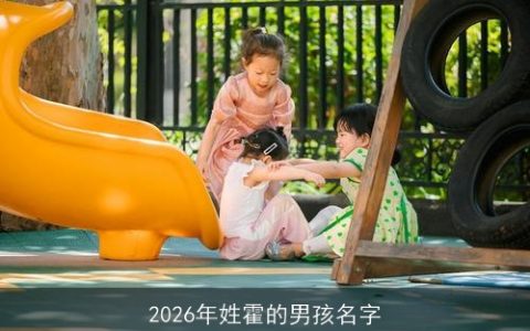 2026年姓霍的男孩名字