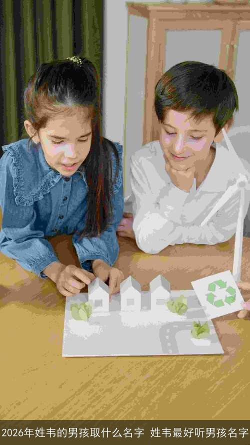 2026年姓韦的男孩取什么名字 姓韦最好听男孩名字