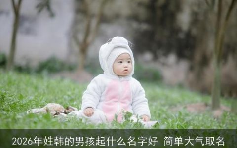 2026年姓韩的男孩起什么名字好 简单大气取名