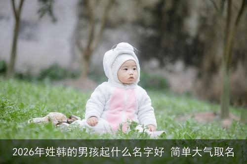 2026年姓韩的男孩起什么名字好 简单大气取名