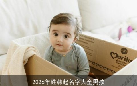 2026年姓韩起名字大全男孩