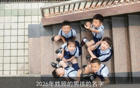 2026年姓顾的男孩的名字