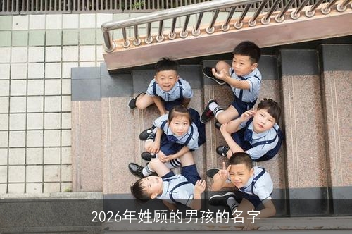 2026年姓顾的男孩的名字