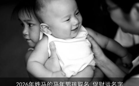 2026年姓马的马年男孩取名 促财运名字