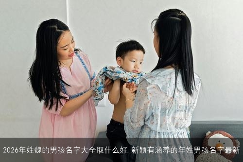 2026年姓魏的男孩名字大全取什么好 新颖有涵养的年姓男孩名字最新