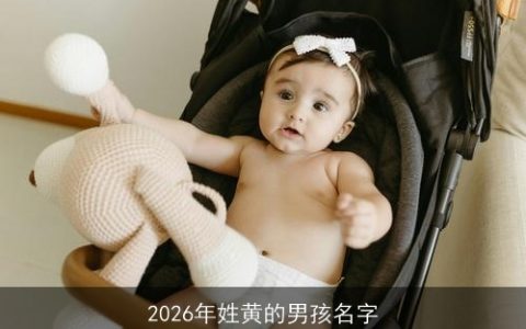 2026年姓黄的男孩名字