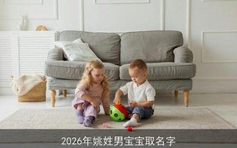 2026年姚姓男宝宝取名字